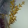 Pampas Grasses & Foliage Image 4