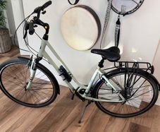 Liv Flourish FS 2 Women's Hybrid Bike (Medium)