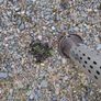Floralbest Weed Burner Image 5