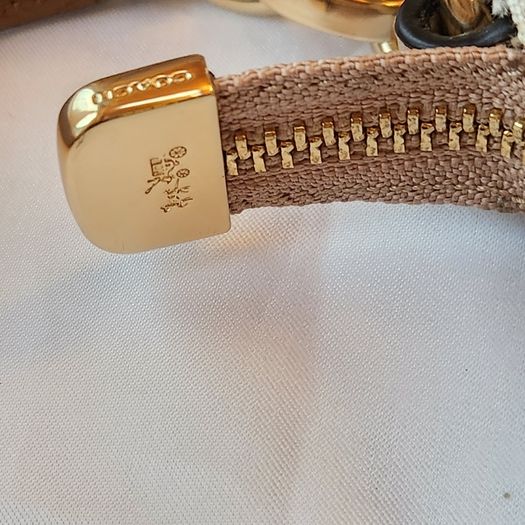 coach handbag (authentic)