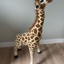 Animal nursery decorations Image 2