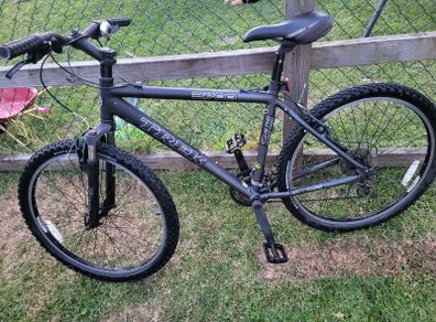 Mountain bike