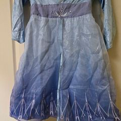 Elsa costume