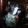bulldog statue Image 3