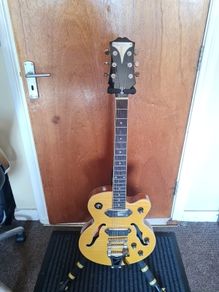 Epiphone Wildkat