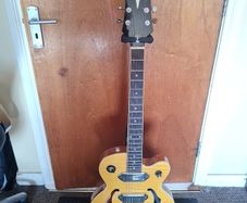 Epiphone Wildkat
