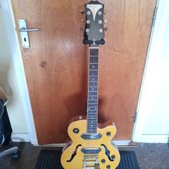 Epiphone Wildkat
