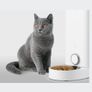 Automatic Smart feeder Fresh Element, Wifi, App Controlled Image 3