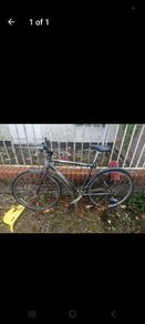 Adult Bicycle