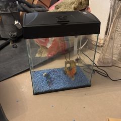 14.5 inch fish tank