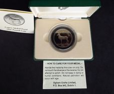 Official Irish Cupro-Nickel Proof, One Pound Coin - Boxed with Certificate