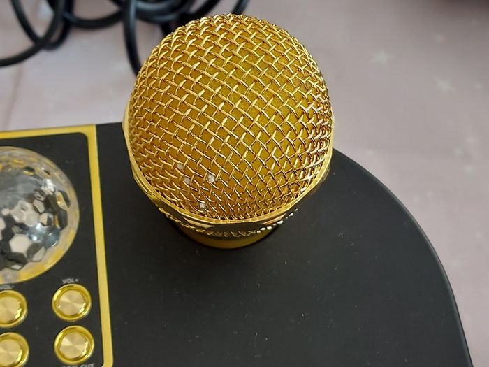 Loa karaoke SU-YOSD YS-211, Bluetooth Speaker, Dual Microphone, Both speaker and Microphones USB C Charged