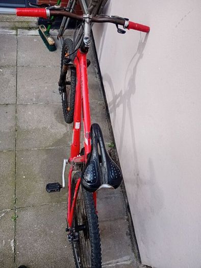 Trek bike
