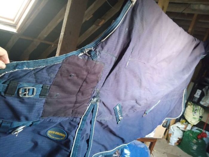 6'0 William Funnel Turnout Rug.Mediumweight