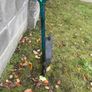 Scooter Image 2