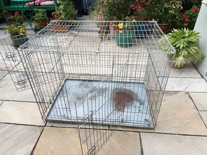XL dog Crate