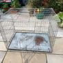 XL dog Crate Image 4