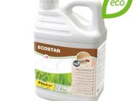 main image for ad Chimiver Ecostar Water Based Floor Lacquer