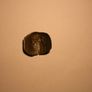 Ancient  Byzantine Coins Image 5