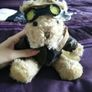 The Bear Collection - Pilot Bear Image 4