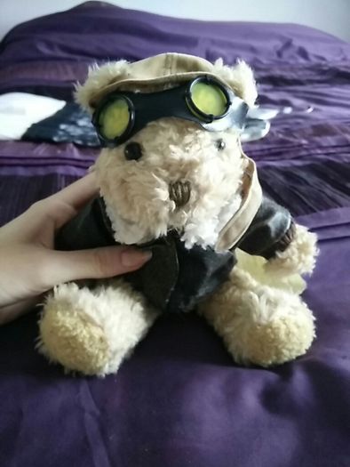 The Bear Collection - Pilot Bear