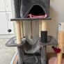 cat tower Image 2