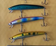 5 Minnows 4"/100mm