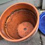 2 medium terracotta pots and 1 bonsai pot Image 3
