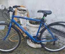 Apollo Transfer Hybrid Bike