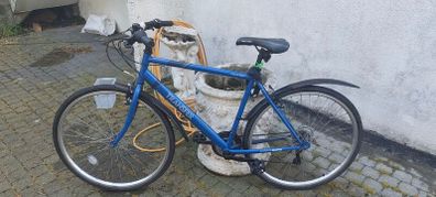 Apollo Transfer Hybrid Bike