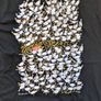 Pigeon t-shirt, size M Image 2