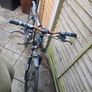 bike Image 5