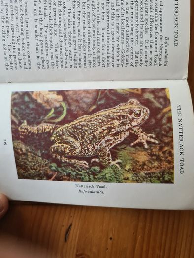 Observer's Book Of Wild Animals Of The British Isles.  Compiled By  W J Stoke.1.