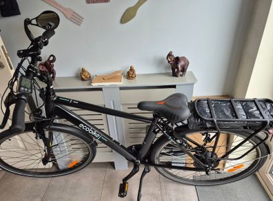 Eco Bike