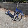 dog scooter Image 2