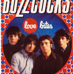 Buzzcocks - Love Bites - Rare Mini Print/Poster