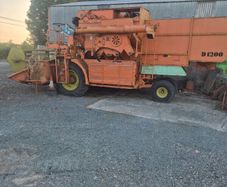 Dania  1200