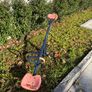 See - Saw Image 2