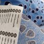 Limited Edition IKEA Bedspread Image 7