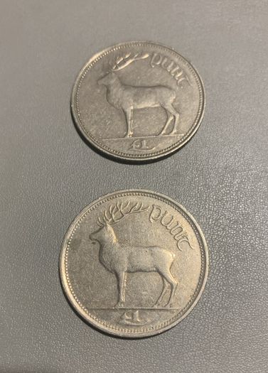 Irish One Pound Coin
