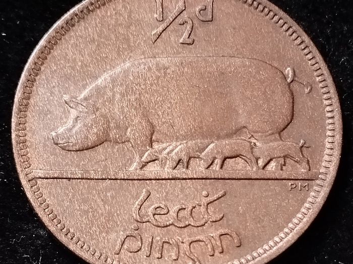 Ireland - 1928 - Half Penny - KM.2 - [685]