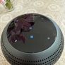 Portable speaker 60w Image 3
