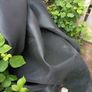 10 ft trampoline parts free to take Image 3