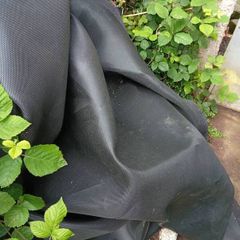 10 ft trampoline mat free to take