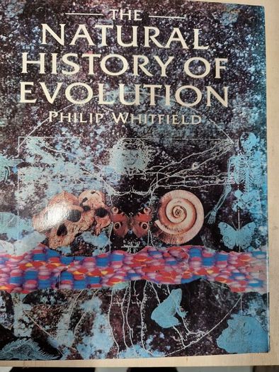 non fiction books, history & travel