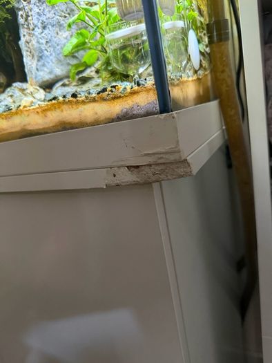 Fish Tank And stand with fish and plants