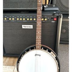 Clareen Clarinbridge Tenor Banjo