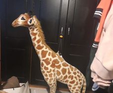 huge stuffed giraffe
