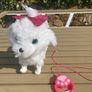 Ale Hop Walking Puppy electronic plush with remote control lead EUC Image 2