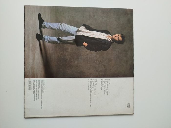 Nick Berry vinyl lp